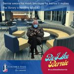 Be Like Bernie by Emily Crews